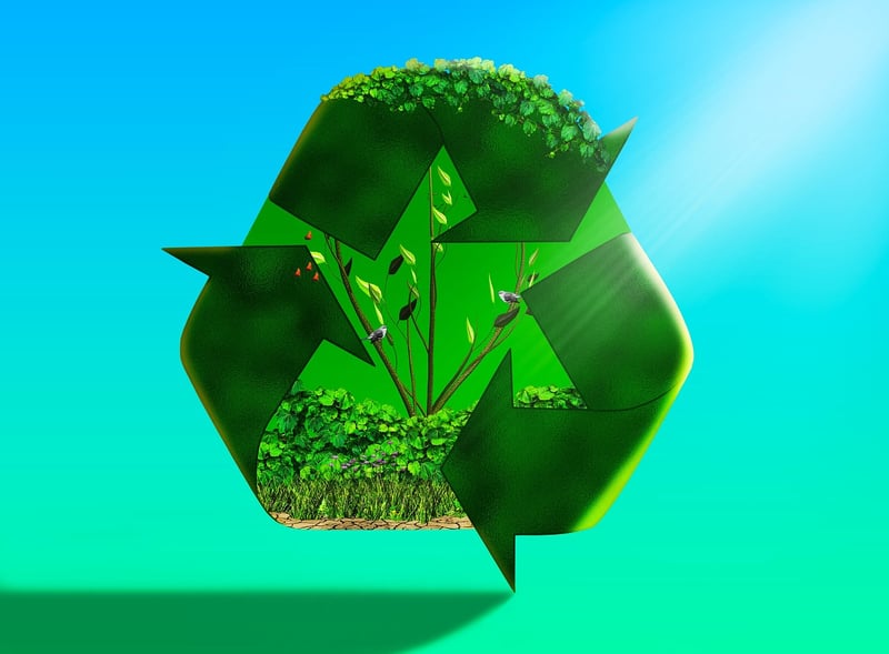 Recycled Learning Activities